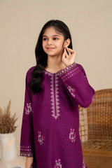 Khayat Stitched Co Ords Luxury Winter Suit-Plumora - Winter