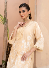 Women Dress