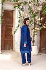 Gulkar By Abeera Stitched 2 Piece Printed Poly Lawn Collection'2025-GK-06