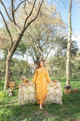 Serenity by Panache Apparel Stitched Collection-Spice