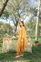 Serenity by Panache Apparel Stitched Collection-Spice