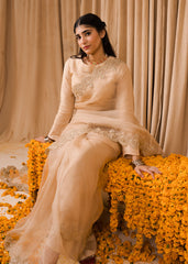 Chamak Dhamak By Pashma Khan Eid Collection'2025-Zarnoor