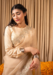 Chamak Dhamak By Pashma Khan Eid Collection'2025-Zarnoor