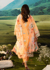 Meerak Stitched 3 Piece Emb Lawn Suit-Solstice