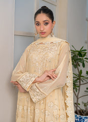 Women Dress