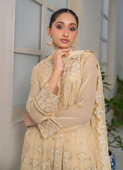 Women Dress