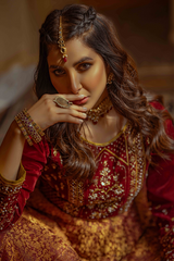 Bagh-E-Makhmal 2 By Zaaviay Stitched Velvet Zaina (Two Piece)
