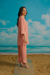 Dhaga Stitched Solid 2 Piece Emb Suit-Primerose