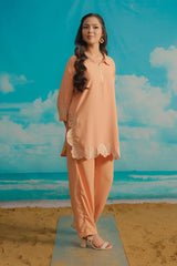 Dhaga Stitched Solid 2 Piece Emb Suit-Shellop
