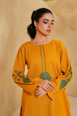 Qurb Stitched 2 Piece Winter Collection'2025-Dreamscape 1