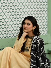 Tng By Md Solid Co Ords Collection-Nyra 2 Piece Skin - Kalidaar Shirt Trouser