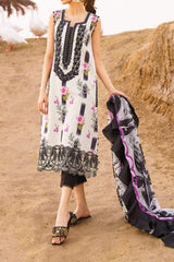 Meraki by Asifa N Nabeel Unstitched 3 Piece Lawn Collection'2024-Echo