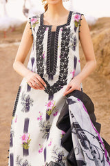 Meraki by Asifa N Nabeel Unstitched 3 Piece Lawn Collection'2024-Echo