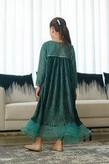 Sprinkles Stitched 1 Piece Formals Shirts Kids Collection'2025-Noor - 1pcs Embellished