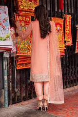 Talia by Freesia Unstitched 3 Piece Chiffon Collection'2025-FW-50065-Ida