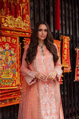 Talia by Freesia Unstitched 3 Piece Chiffon Collection'2025-FW-50065-Ida