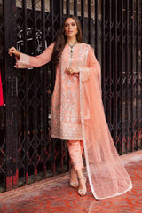 Talia by Freesia Unstitched 3 Piece Chiffon Collection'2025-FW-50065-Ida