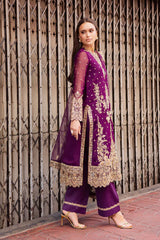 Talia by Freesia Unstitched 3 Piece Chiffon Collection'2025-FW-50066-Elke