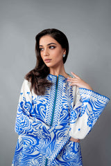 Heeriye Printed Co-Ord Set (Pret) - 108