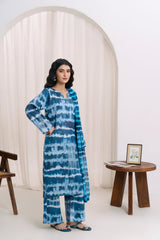 Feathers Unstitched Winter Arrivals Suit-EIRVEX-FT562