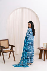 Feathers Unstitched Winter Arrivals Suit-EIRVEX-FT562