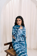 Feathers Unstitched Winter Arrivals Suit-EIRVEX-FT562