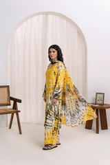 Feathers Unstitched Winter Arrivals Suit-LYNORE-FT561