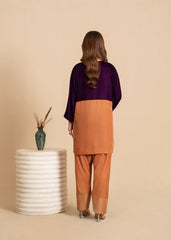 Luxe A Velvet Affair By Stitch Vibes Stitched Winter Suit-Gold Color Block Velvet Dress
