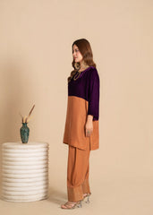 Luxe A Velvet Affair By Stitch Vibes Stitched Winter Suit-Gold Color Block Velvet Dress