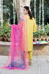 Dhaga Stitched Solid 2 Piece Emb Suit-Geko