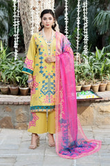 Dhaga Stitched Solid 2 Piece Emb Suit-Geko