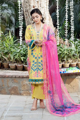 Dhaga Stitched Solid 2 Piece Emb Suit-Geko