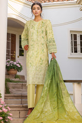 HZ Stitched 3 Piece Chikankari Cambric Collection'2025-LPK-3P-526