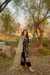 Panache Apparel Stitched Velvet Collection-Luxe