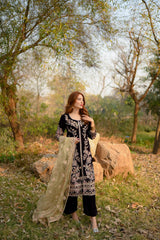 Panache Apparel Stitched Velvet Collection-Luxe