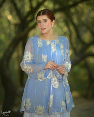 Urban Cut Embroidered Crinkle Chiffon Peplum Top â€“ Lined | Pure Chiffon