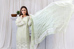 Zeenat By Gulposh Unstitched 3 Piece Lawn Collection'2025-04