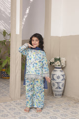Pariyon Ki Duniya By Shanzey Stitched 3 Piece Co Ords Lawn Suit-SHK-5304