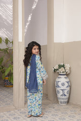 Pariyon Ki Duniya By Shanzey Stitched 3 Piece Co Ords Lawn Suit-SHK-5304
