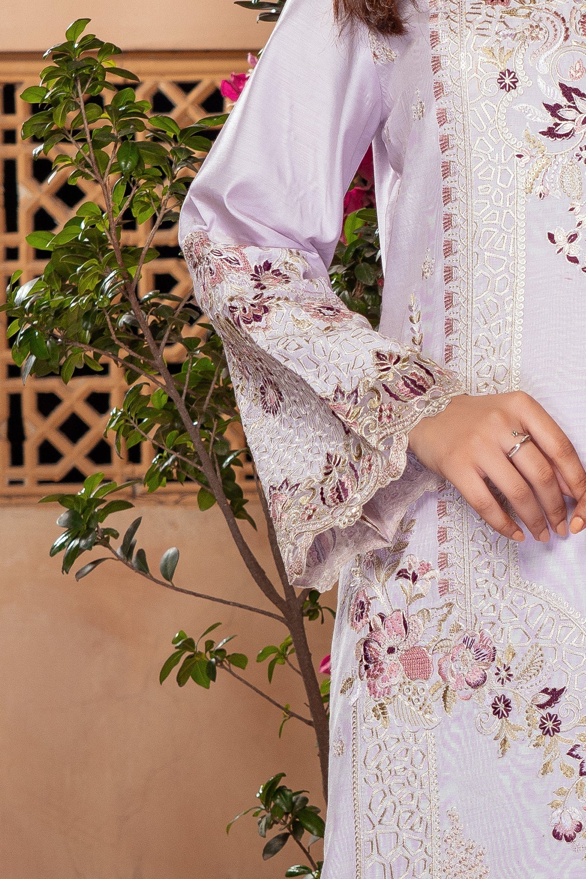 Raya By Imrozia Serene Stitched 3 Piece Winter Collection'2025-IP-118 Eshita