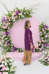 Silah By Fresh Bird Stitched 2 Piece Festive Summer Collection'2025-Insia