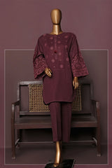 HZ Basics Stitched 2 Piece Solids Emb Khaddar Co Ords Collection'2025-KEC-112