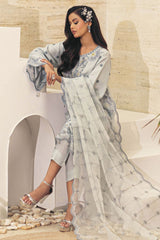 Kahani By Guzel Stitched 3 Piece Festive Formals Organza Vol-02 Collection-04-Kirdar