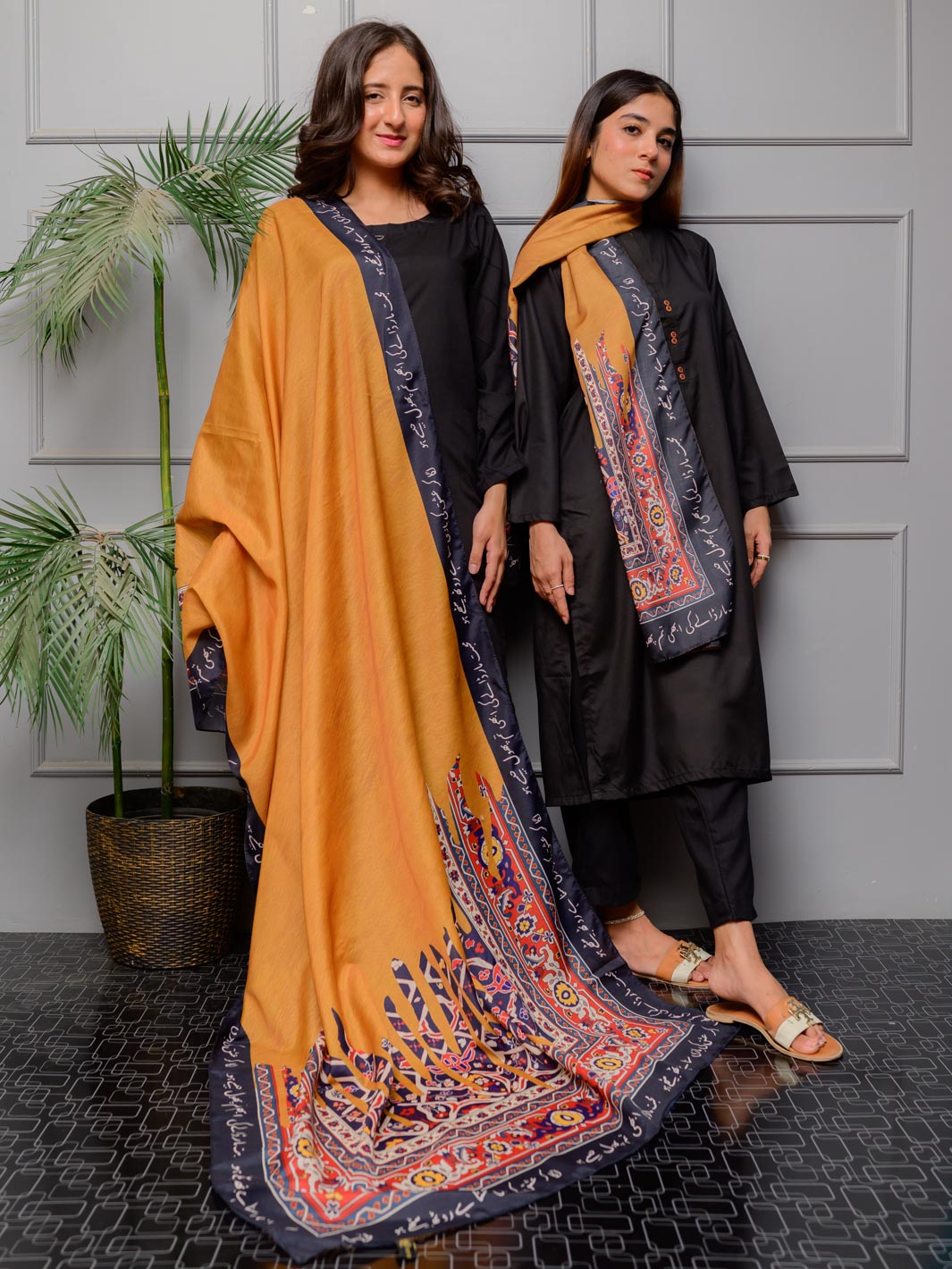 TNG Odhni Collection-Nadaan Odhni