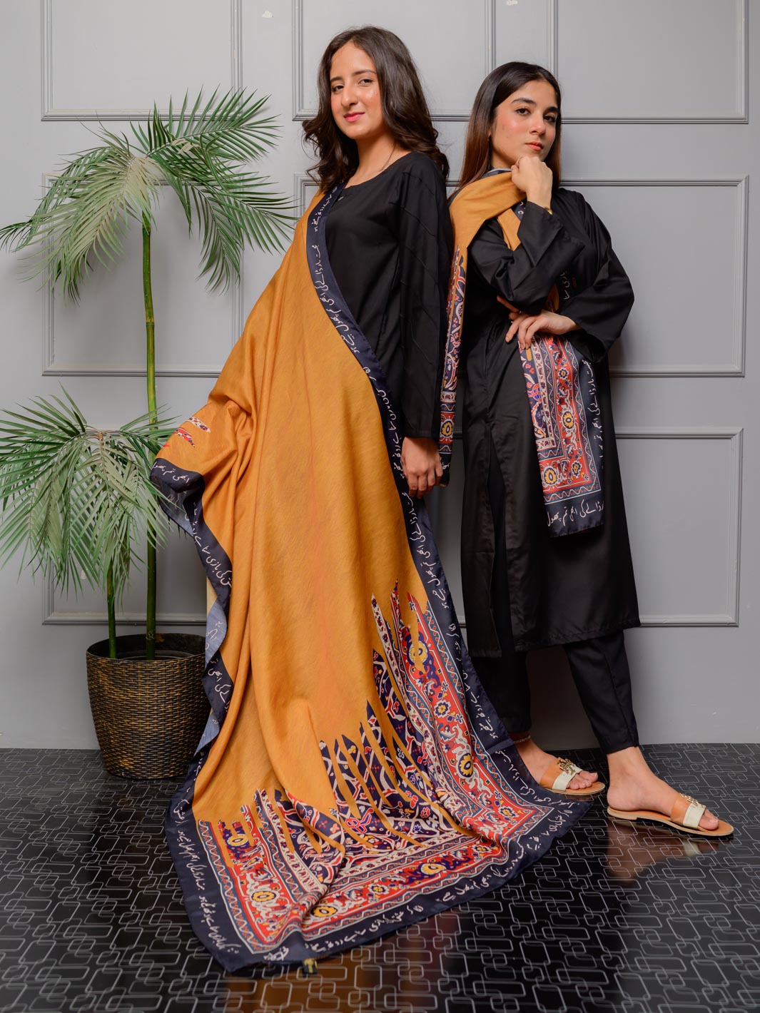 TNG Odhni Collection-Nadaan Odhni