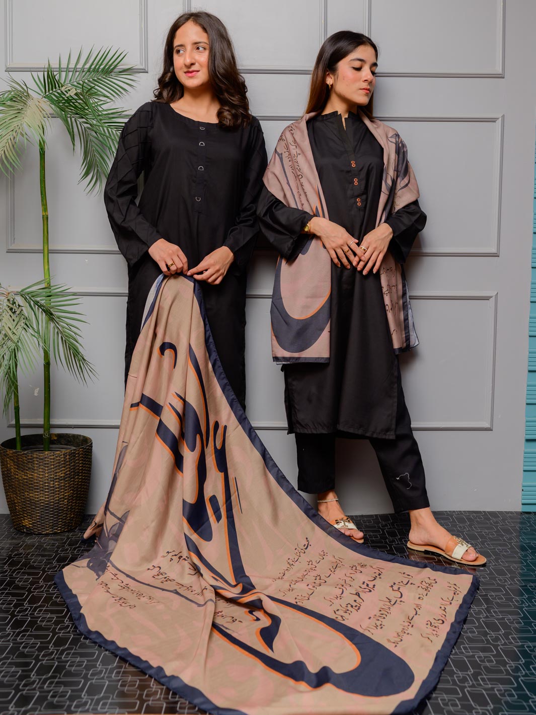 TNG Odhni Collection-Shikwa Odhni