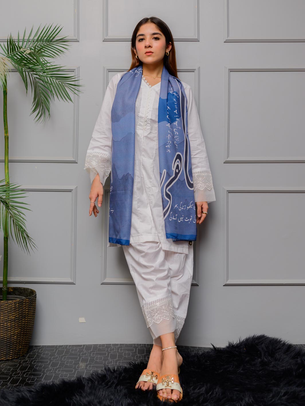 TNG Odhni Collection-Baadshahi Odhni