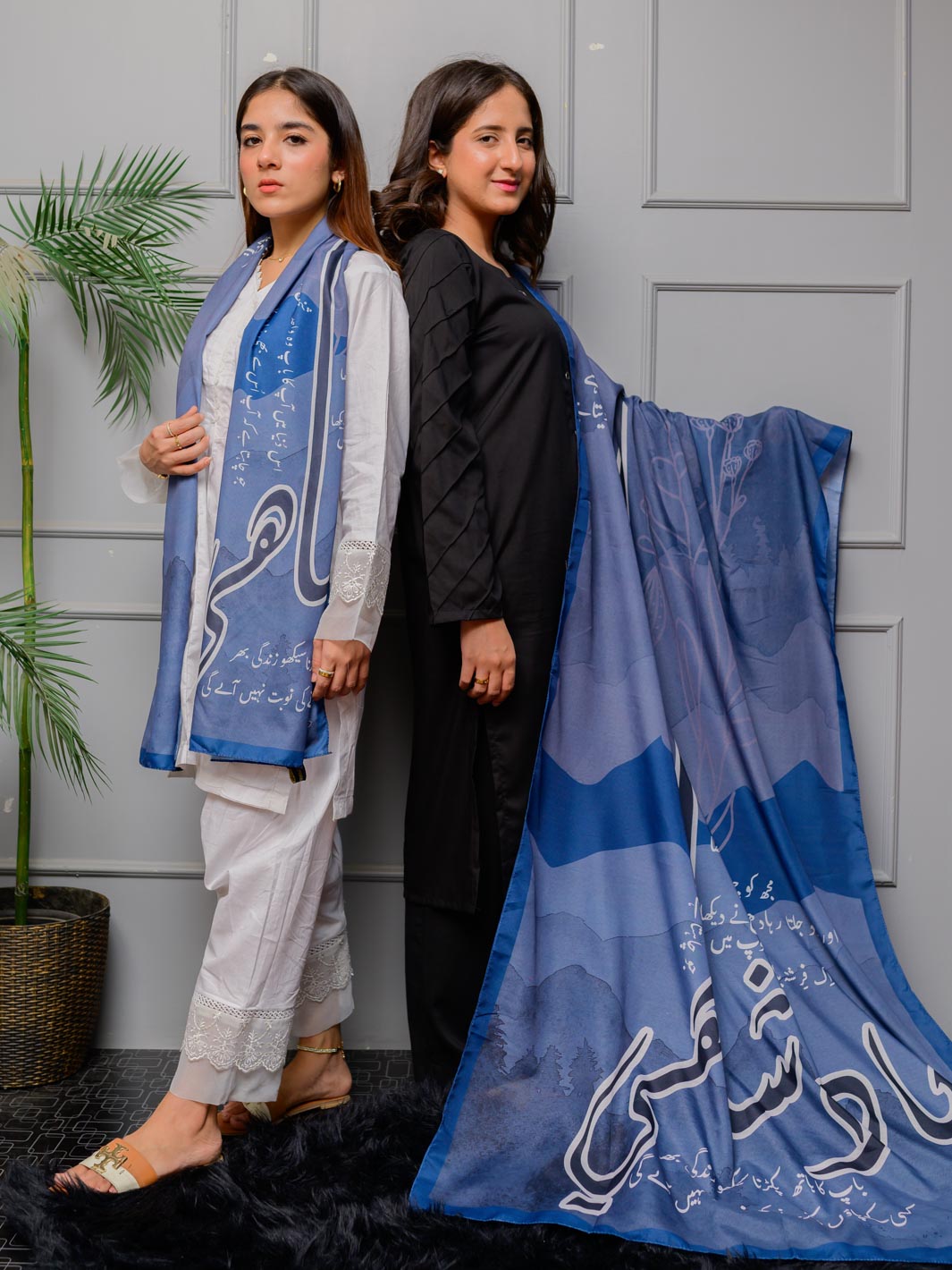 TNG Odhni Collection-Baadshahi Odhni