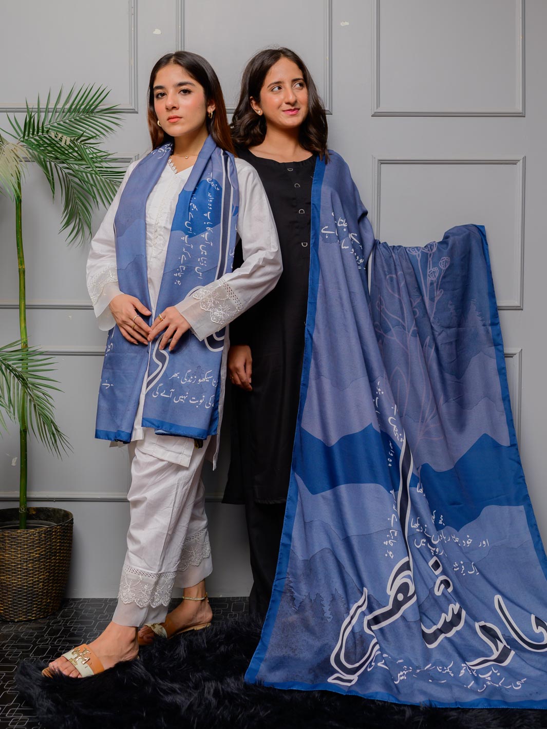 TNG Odhni Collection-Baadshahi Odhni