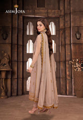 Asim Jofa Pyaar Diyan Gallan Ajem-06 Embroidered Net 3 Pcs